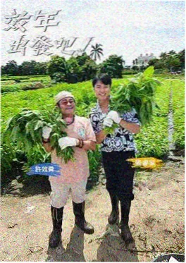 厨房暗号海报